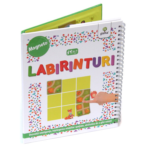 Labirinturi