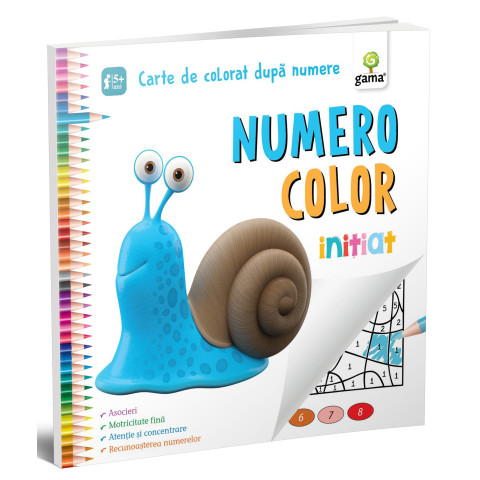 NumeroColor • Iniţiat