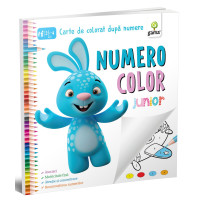 NumeroColor • Junior