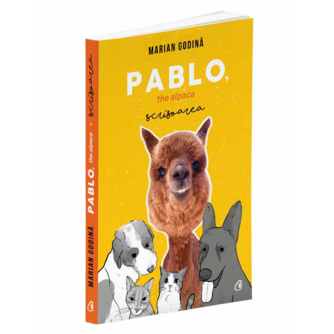 Pablo, the alpaca. Scrisoarea