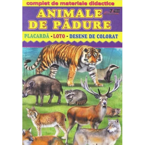 Animale de pădure. Placarda. Loto. Desene de colorat