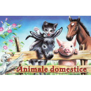 Animale domestice - pliant