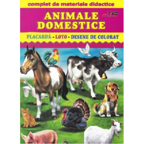 Animale domestice Placarda, Loto, Desene de colorat