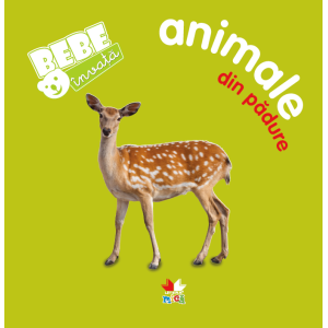 Bebe învață: Animale din pădure