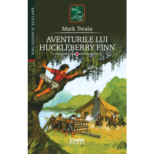 Aventurile lui Huckleberry Finn