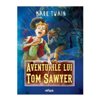 Aventurile lui Tom Sawyer