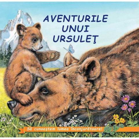 Aventurile unui ursuleț