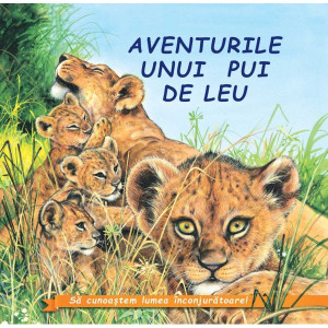 Aventurile unui pui de leu﻿