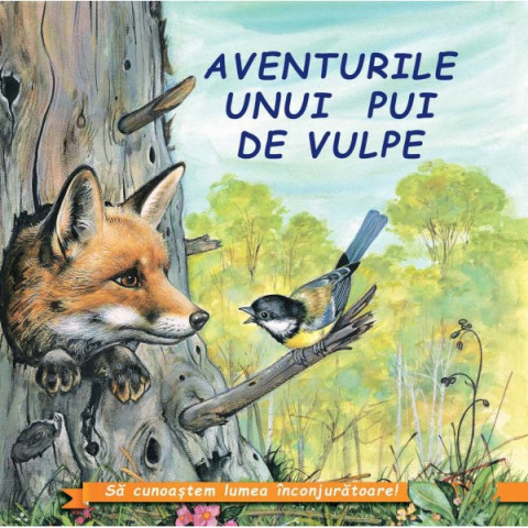 Aventurile unui pui de vulpe﻿