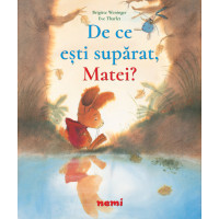 De ce ești supărat, Matei?