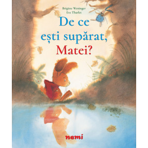 De ce ești supărat, Matei?