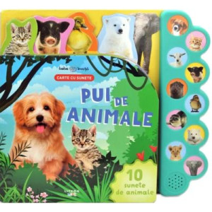 Bebe învață. Pui de animale. Carte cu sunete