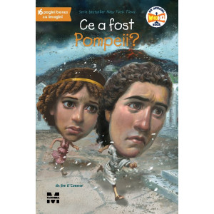 Ce a fost Pompeii?