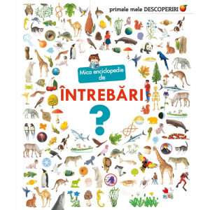 Mica enciclopedie de întrebări