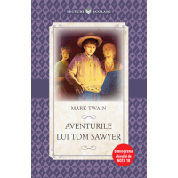 Aventurile lui Tom Sawyer