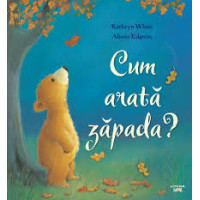Cum arată zăpada?