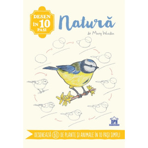 Desen în 10 pași: Natura