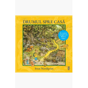 Drumul spre casă