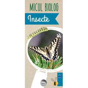 Micul Biolog - Insecte-jetoane