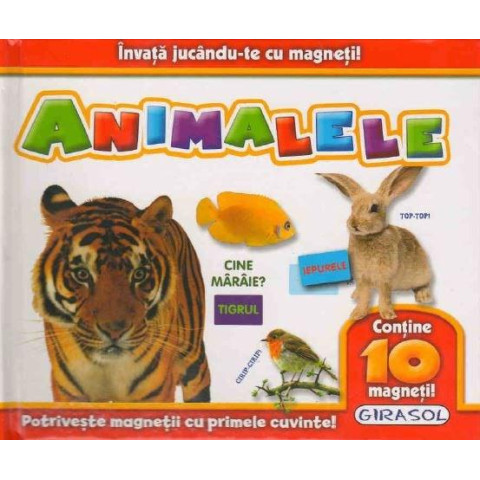 Învață jucându-te cu magneți! Animalele