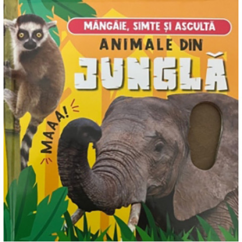 Mângâie, simte și ascultă: Animale din junglă