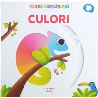 Misc si descopăr. Culori