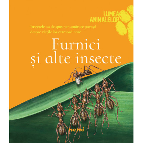 Furnici și alte insecte