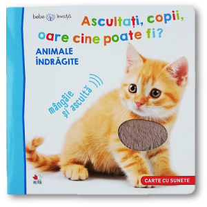 Bebe învață. Ascultați, copii, oare cine poate fi? Animale îndrăgite