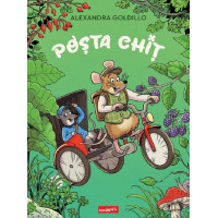 Poșta Chiț