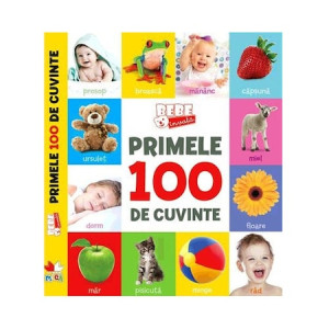 Primele 100 De Cuvinte. Bebe învață