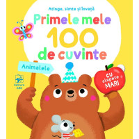 Primele mele 100 de cuvinte