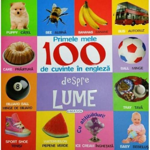 Primele mele 100 de cuvinte în engleză - Despre lume