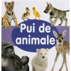 Pui de animale