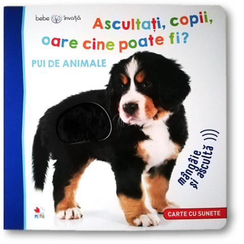 Bebe învață. Ascultați, copii, oare cine poate fi? Pui de animale