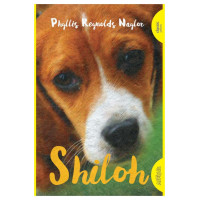 Shiloh 