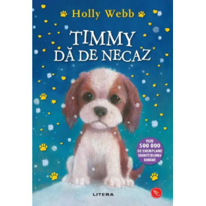 Timmy dă de necaz
