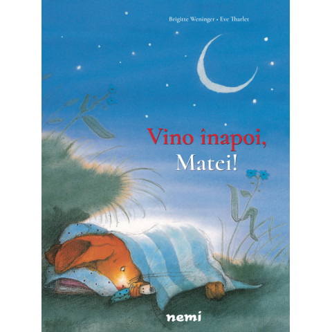 Vino înapoi, Matei!