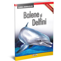 Balene și delfini