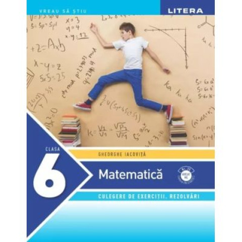 Matematica. Culegere de exerciții. Rezolvări. Clasa a 6-a - Gheorghe Iacoviță