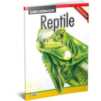 Reptile