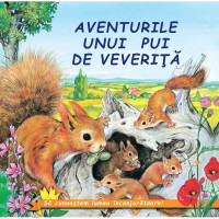 Aventurile unui pui de veveriță