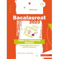 Bacalaureat 2023. Limba și literatura română. Toate profilurile