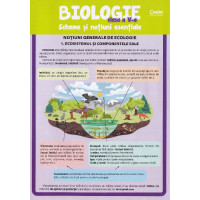 Biologie - Clasa 5 - Scheme și noțiuni esențiale