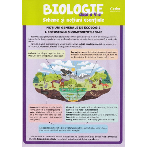 Biologie - Clasa 5 - Scheme și noțiuni esențiale