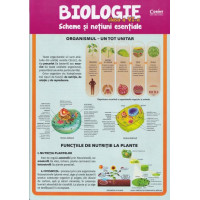 Biologie - Clasa 6 - Scheme și noțiuni esențiale