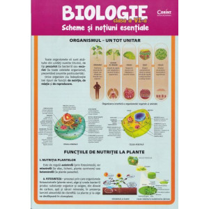 Biologie - Clasa 6 - Scheme și noțiuni esențiale