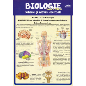 Biologie - Clasa 7 - Scheme și noțiuni esențiale
