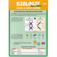 Biologie - Clasa 8 - Scheme și noțiuni esențiale Biologie - Clasa 8 - Scheme și noțiuni esențiale