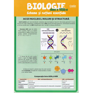 Biologie - Clasa 8 - Scheme și noțiuni esențiale