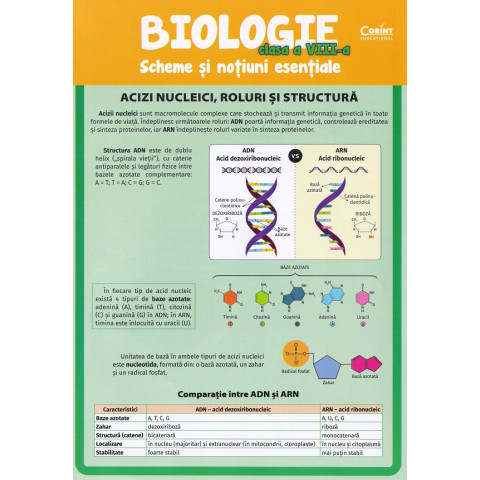 Biologie - Clasa 8 - Scheme și noțiuni esențiale